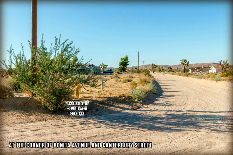 Bonita Avenue